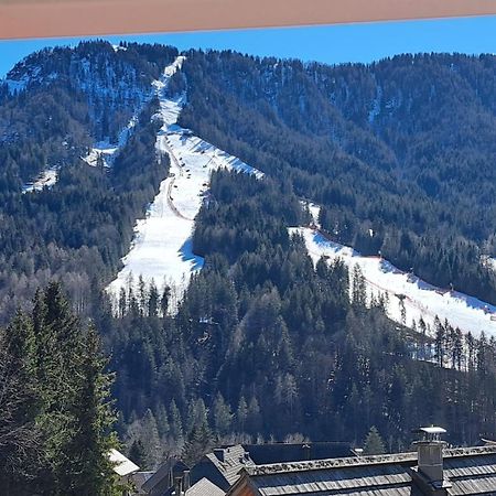 Hisa Grilc Apartment Kranjska Gora Bagian luar foto