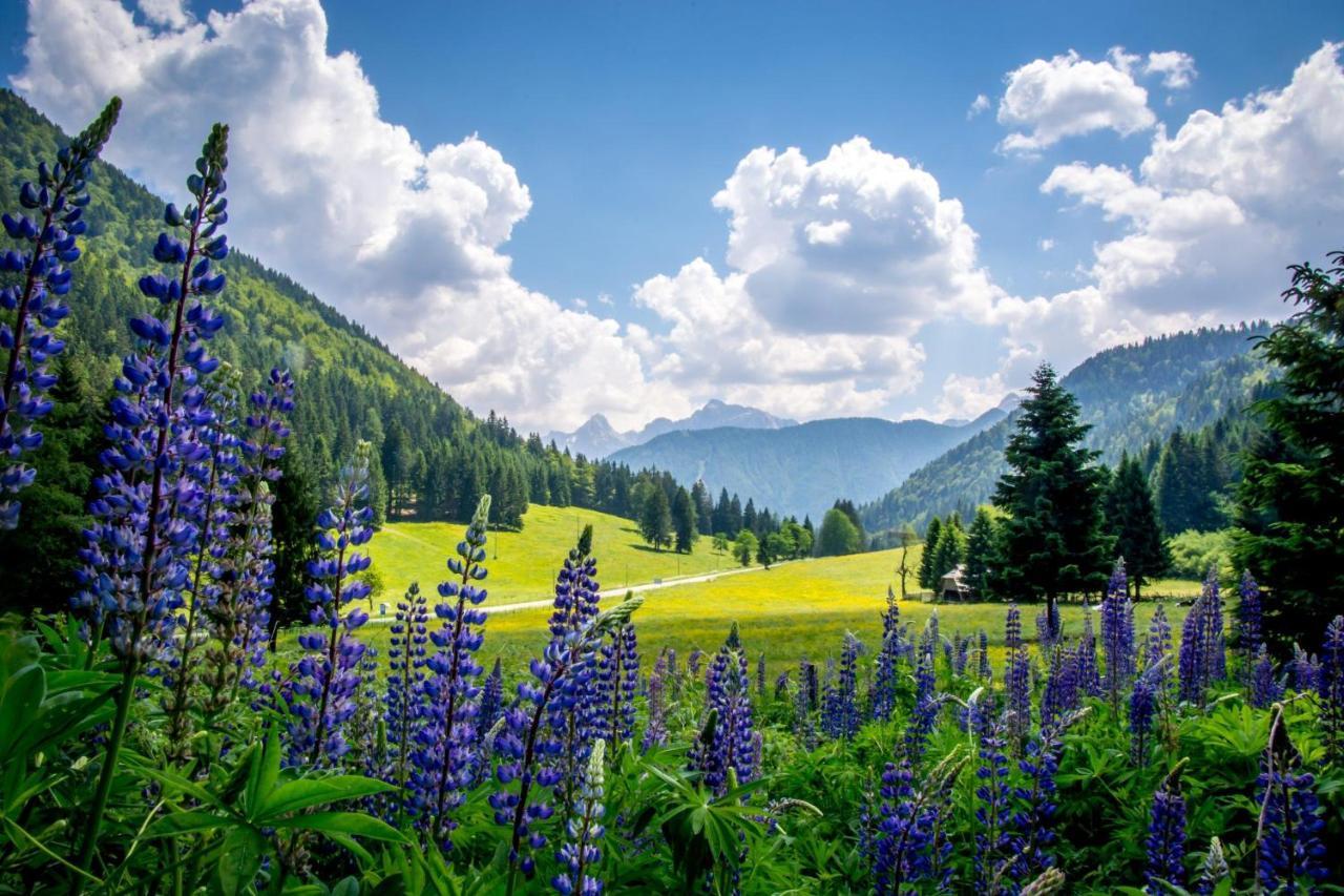Hisa Grilc Apartment Kranjska Gora Bagian luar foto